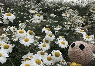 3081.jpg