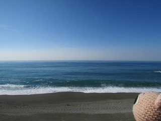 IMG_2329.jpg