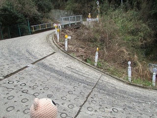 IMG_2723.jpg