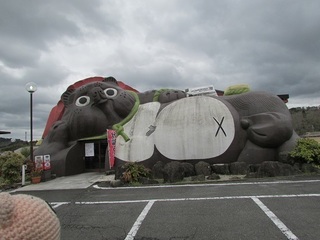 IMG_2792.jpg