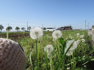 IMG_2797.jpg