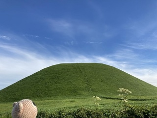 IMG_3329.jpg