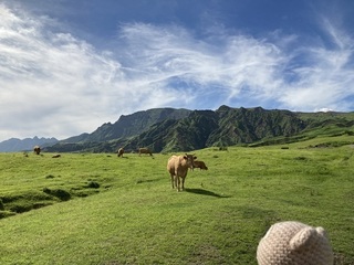 IMG_3380.jpg