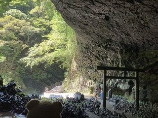 IMG_3624.jpg