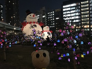 IMG_3978.jpg