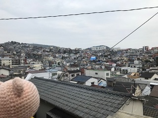 IMG_4609.jpg