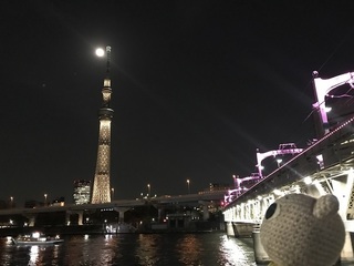 IMG_4754.jpg