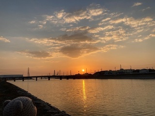 IMG_6182.jpg