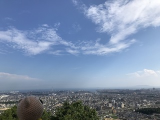 IMG_6255.jpg