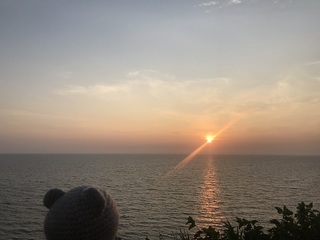 IMG_6731.jpg