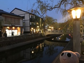 IMG_7322.jpg