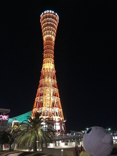 IMG_7351.jpg