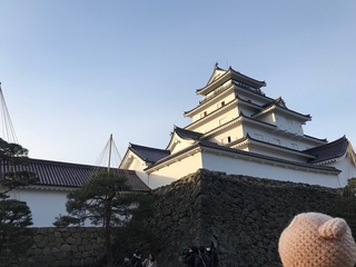 IMG_7911.jpg
