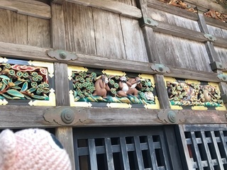 IMG_7952.jpg
