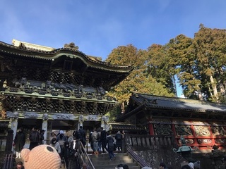 IMG_7989.jpg