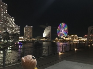IMG_8024.jpg