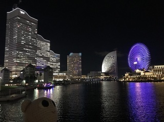 IMG_8036.jpg