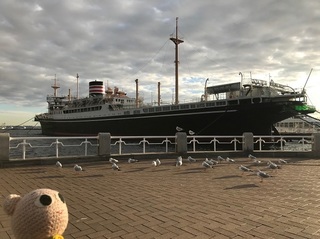 IMG_8093.jpg