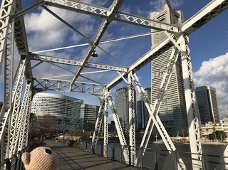 IMG_8137.jpg