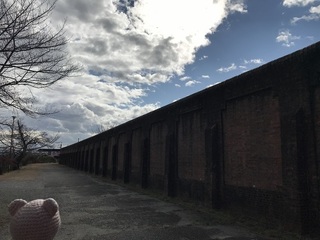 IMG_8204.jpg