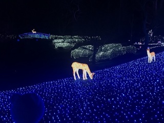IMG_8442.jpg