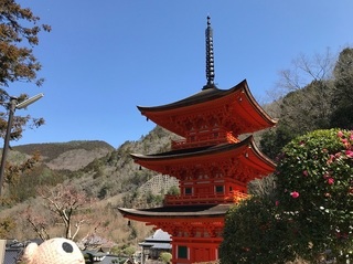 IMG_8616.jpg
