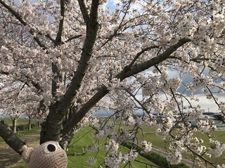 IMG_8799.jpg