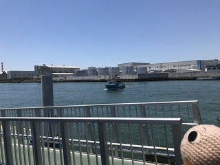 IMG_9472.jpg