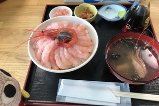 ebi.jpg