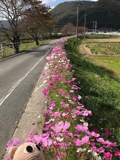 image1.jpg