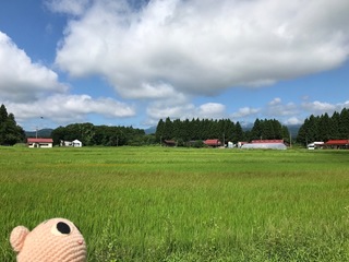 image1.jpeg