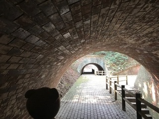 image1 (2).jpg